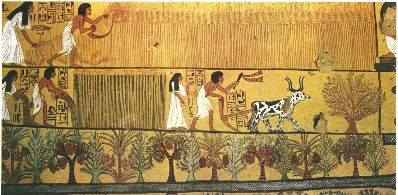Ancient Egyptian Farming